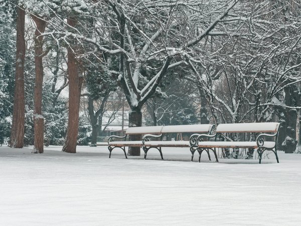 Le rôle du technicien de laboratoire dans les essais cliniques